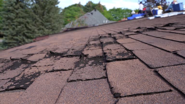 Fast & Reliable Emergency Roof Repairs in Highlands, TX